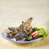 Cara membuat Lele Goreng Daun Jeruk - Resep Masakan Rumahan